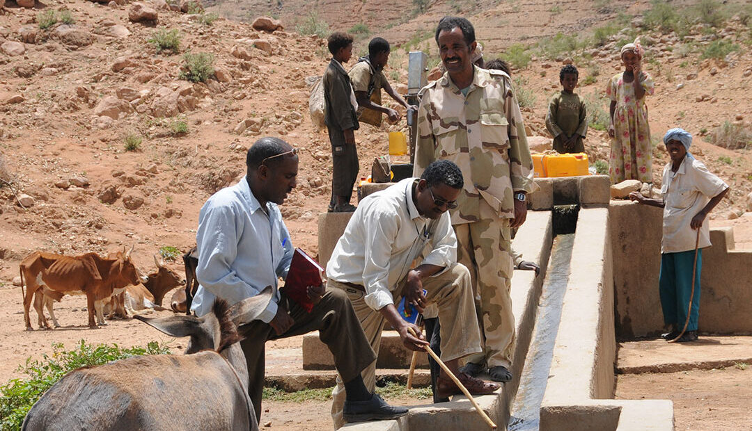 Forest restoration in Kenya